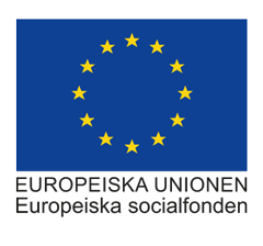 EU_flagga_EurSocfond_cmyk-arial